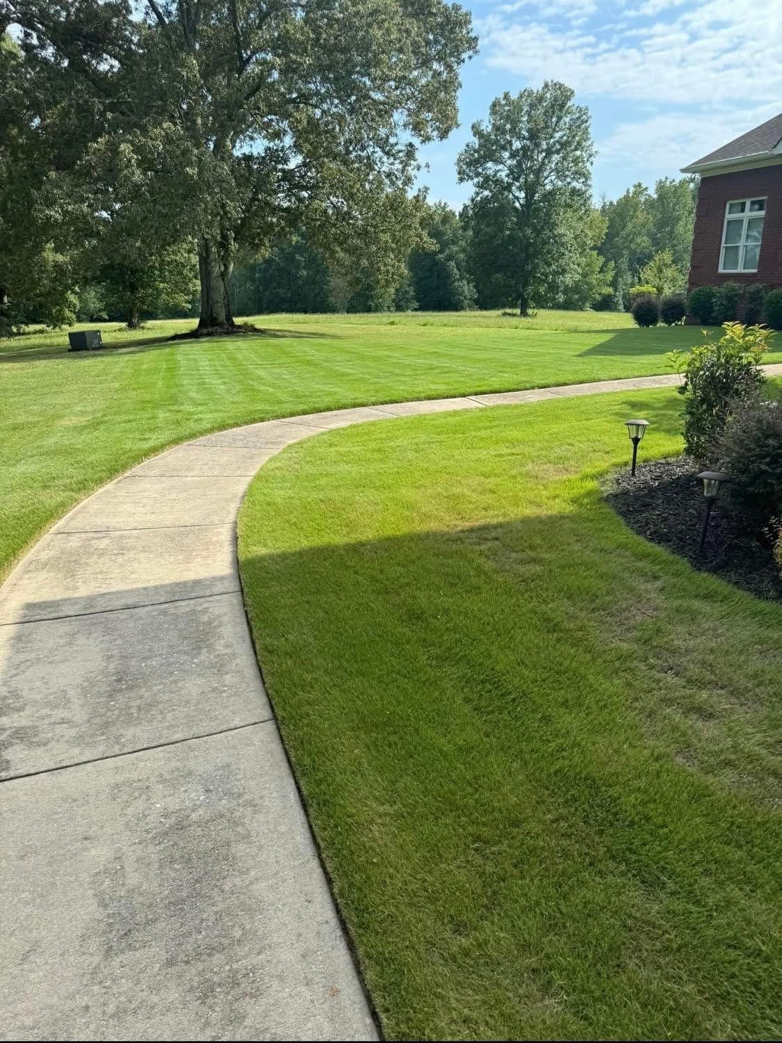 Lush green lawn with a curved sidewalk and mature trees near a brick home
